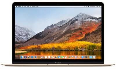 Outlet Apple MacBook 12 Złoty 1,1Ghz/8GB/256SSD/IntelHD - zdjęcie 1